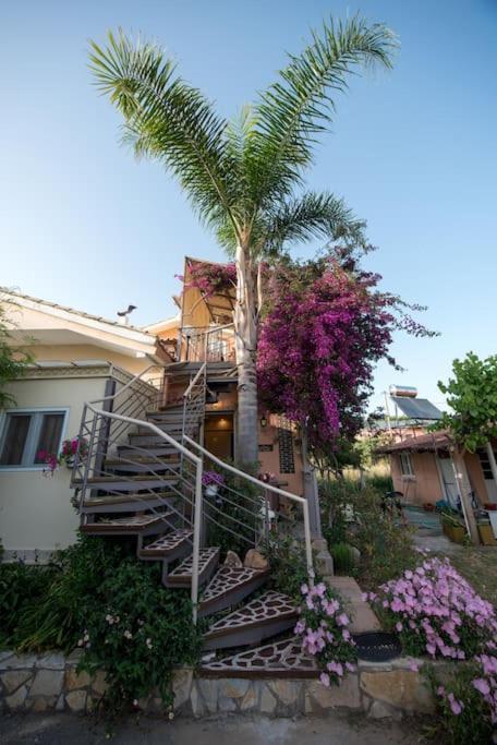 Bougainvillea House 1 Kalamata Exteriör bild