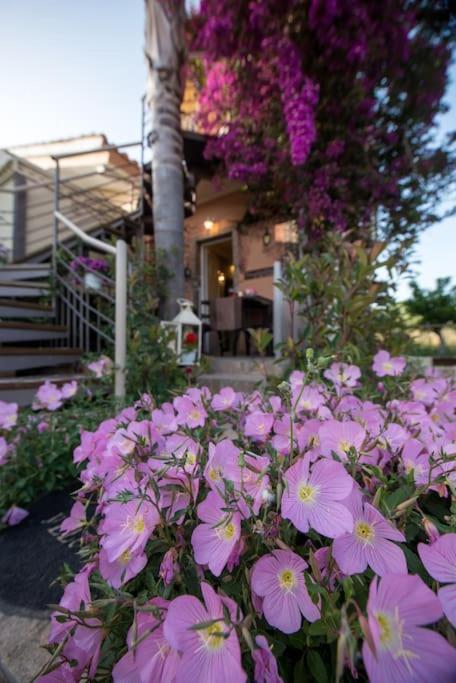 Bougainvillea House 1 Kalamata Exteriör bild